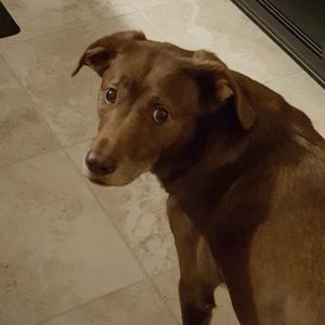 Meet your Posher, Deanna